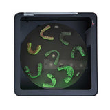 Lampe Photopolymériser Résine Imprimante 3D - Sun Beam - 375 à 405 nm. - Massilia Dental - Fournitures Matériel Cabinet Dentaire