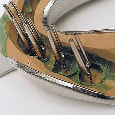 Bi-Pin's Aiguille Insertion Renfert - Insertion Silicone