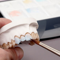 Lay - art Oasis Plaque Céramique Renfert Alvéoles - Massilia Dental - Fournitures Matériel Cabinet Dentaire