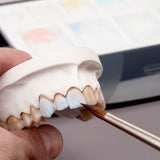 Lay - art Oasis Plaque Céramique Renfert Alvéoles - Massilia Dental - Fournitures Matériel Cabinet Dentaire