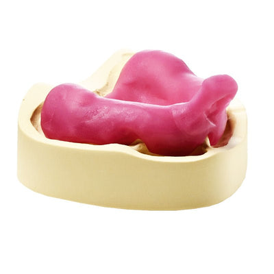 Elite LC Tray Plaques Photo - Porte - empreinte Individuel - Massilia Dental - Fournitures Matériel Cabinet Dentaire