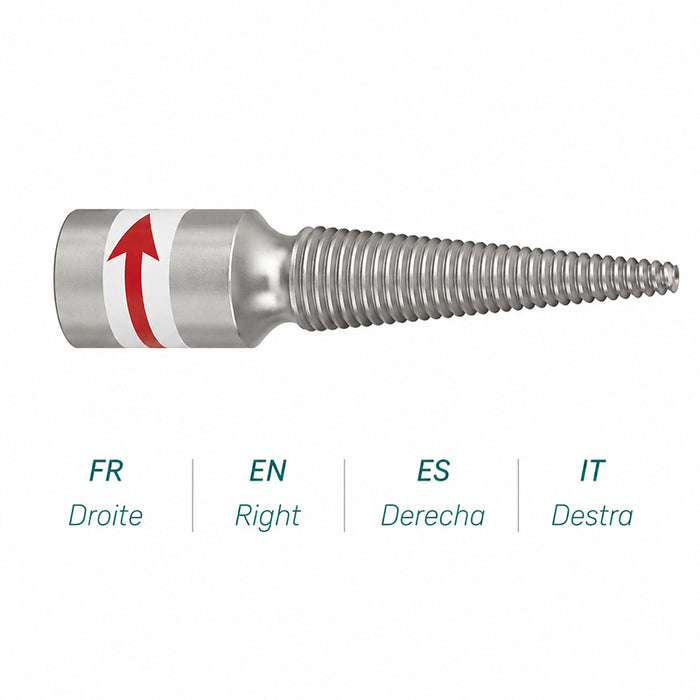 Pig tail for polishing tower - right or left mandrel - Mestra.