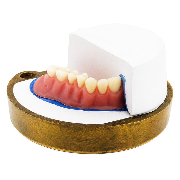 Rapid Simplified Vertex - Résine de base pour prothèses dentaires 1 Kg