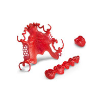 Dima Résine Cast Ruby impression calcinable stellites et couronnes