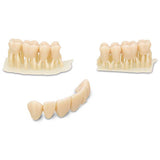 Résine Dima Print C&B Kulzer impression bridges provisoires