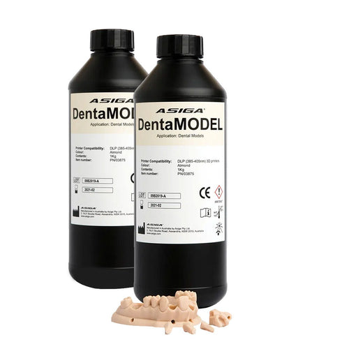 Asiga DentaMODEL – Résine 3D Couleur Amande Modèles Dentaires - Massilia Dental - Fournitures Matériel Cabinet Dentaire