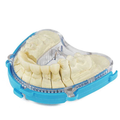 Socle BAFIX DTDS pour empreinte à scier modèle dentaire avec dies repositionnables