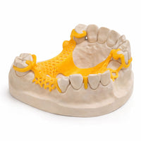 VarseoWax Cast BEGO résine calcinable pour impression de stellite 3D